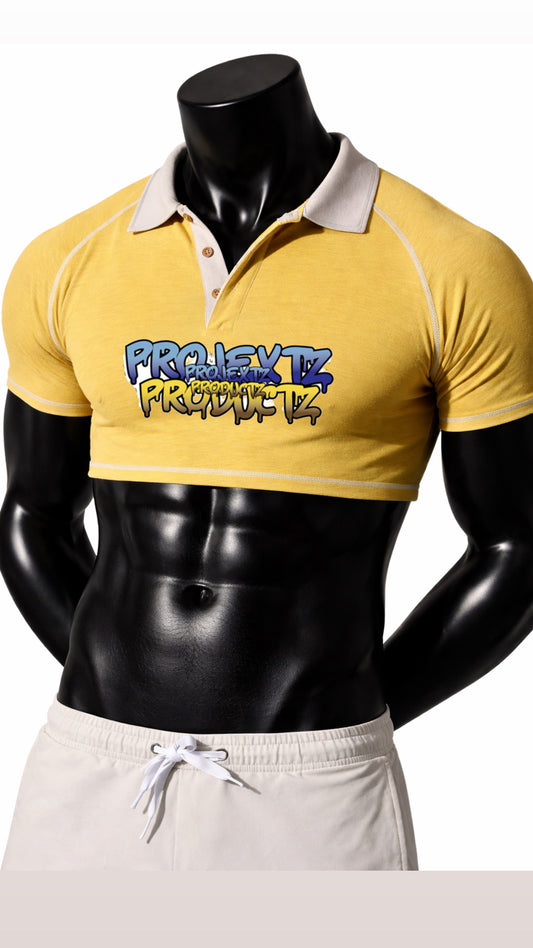 Big Logo Gold Crop