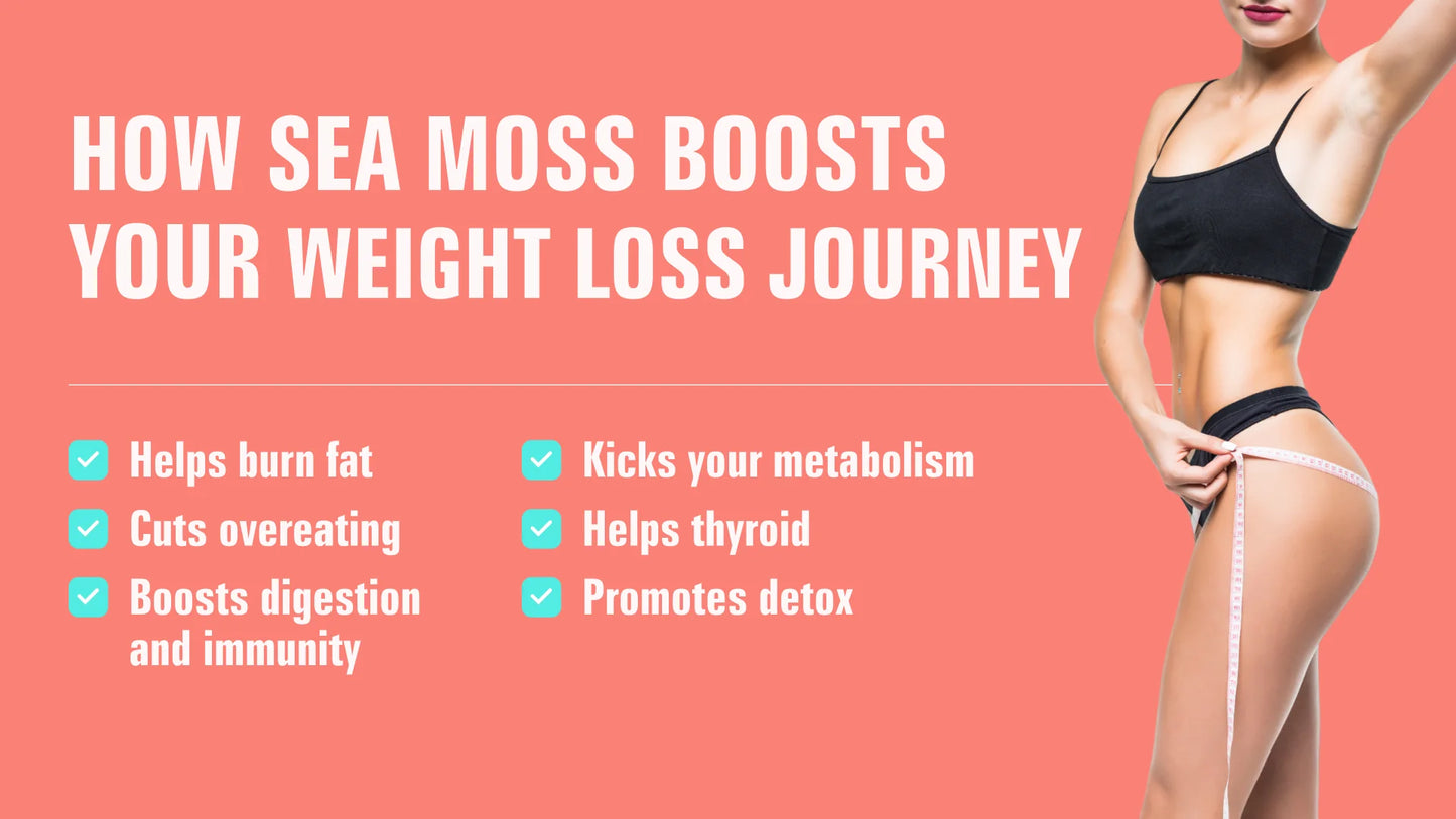 Sea moss 15 count